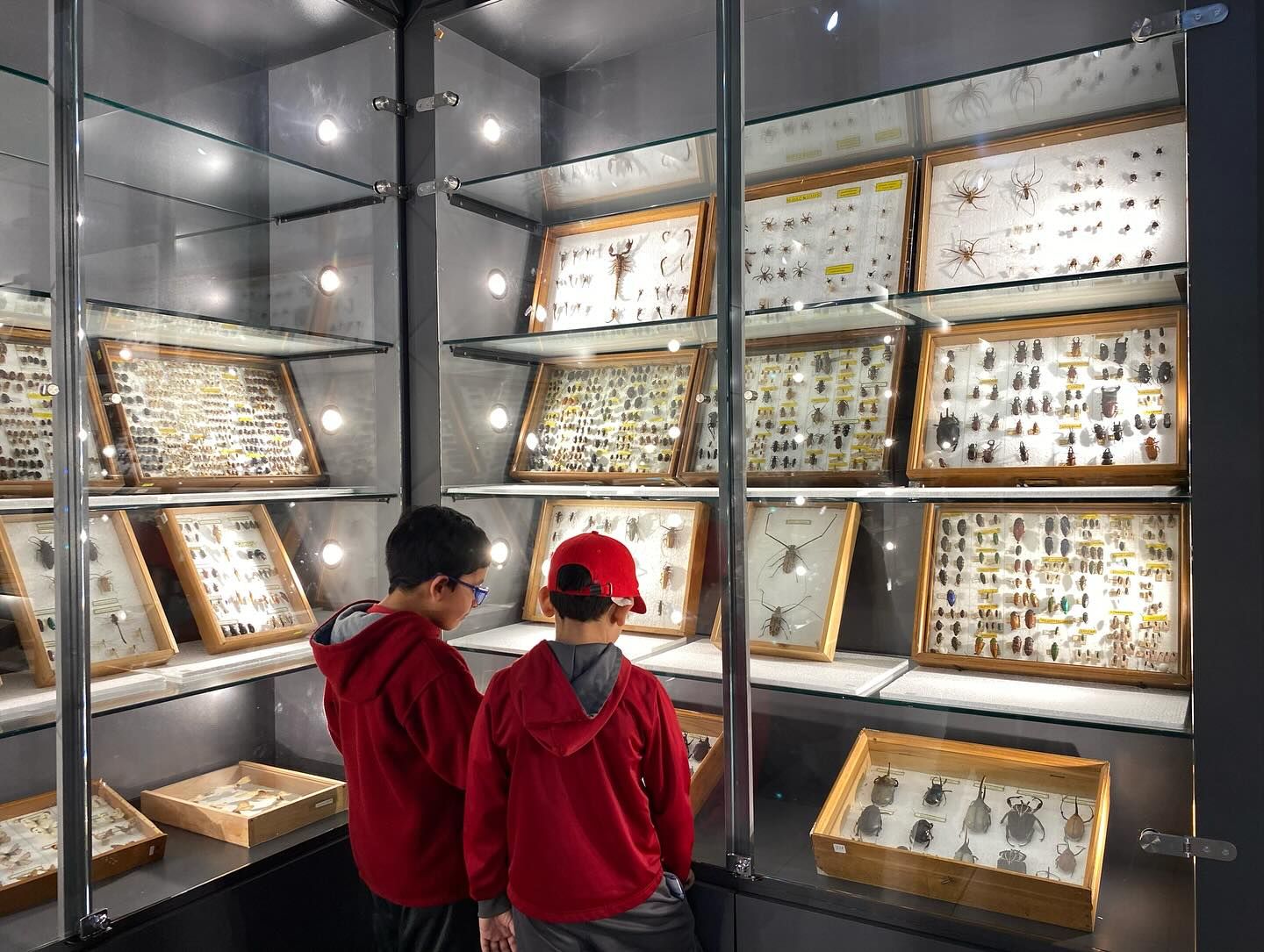 Museo de Ciencias Naturales y Arqueología