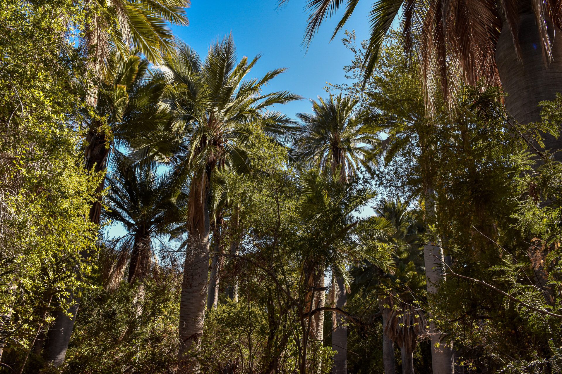 Parque Nacional la Campana