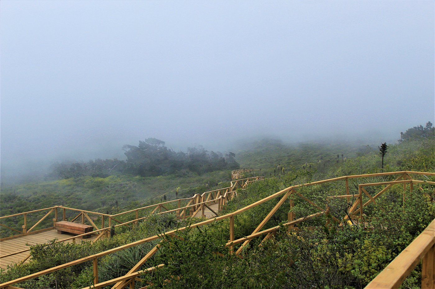 Parque nacional Fray Jorge