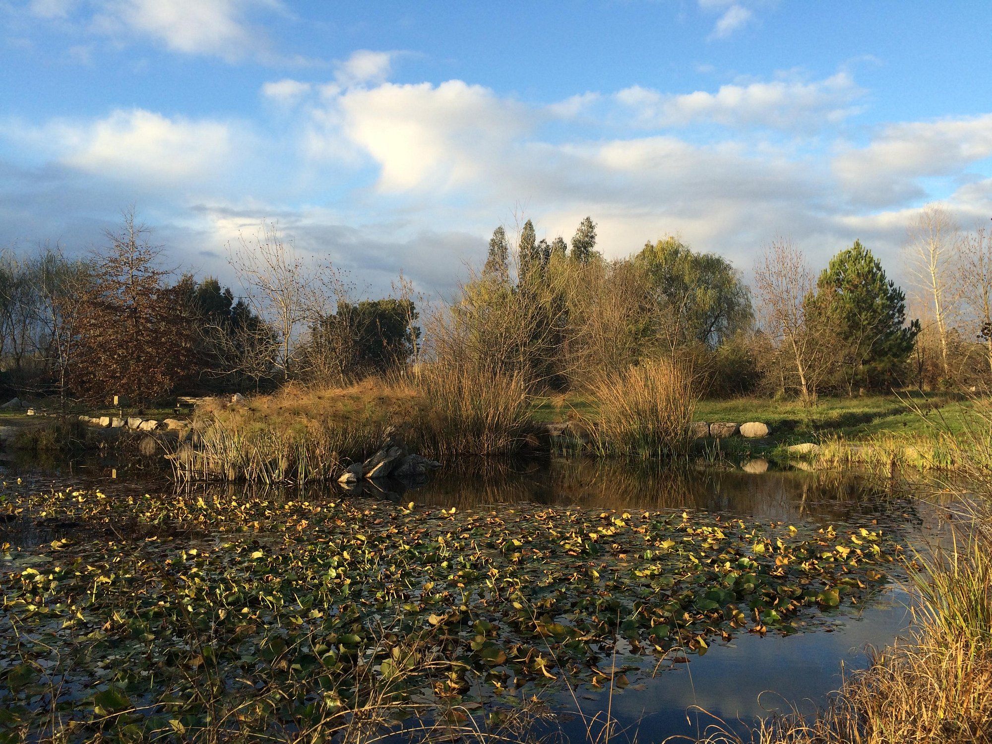 Parque Botanico de la Universidad de Talca