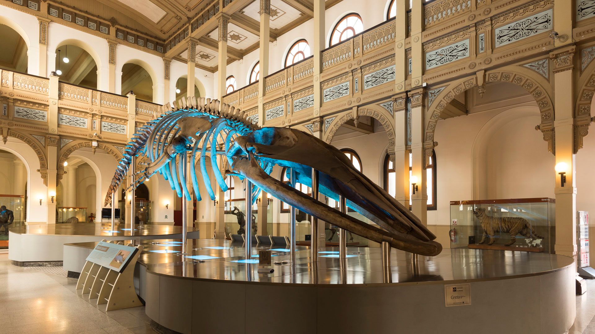 Museo Historia Natural