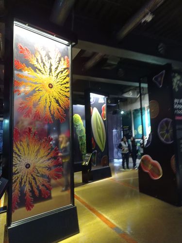 5 Destinos Pedagógicos Imprescindibles en la Región Metropolitana