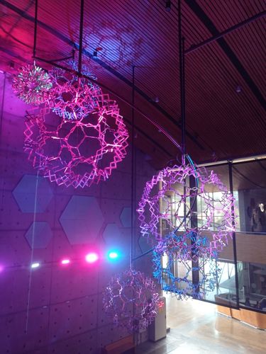 La Importancia de las Salidas Pedagógicas y su Impacto en los Estudiantes