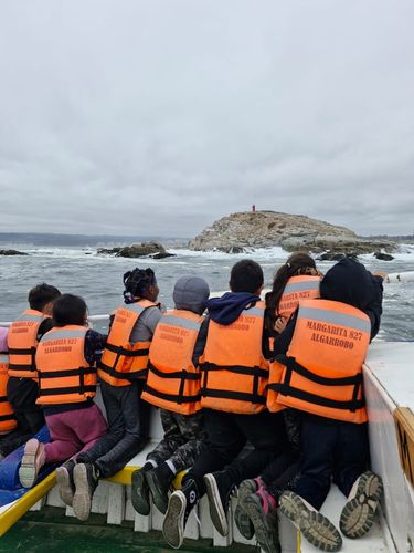 Planifica tu salida pedagógica con propósito