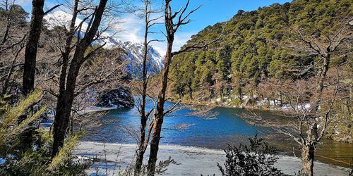 5 Mejores Salidas Pedagógicas en La Región De La Araucanía