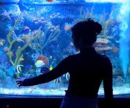 Acuario VivaMar - Imagen 1